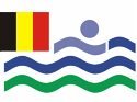iob flag b