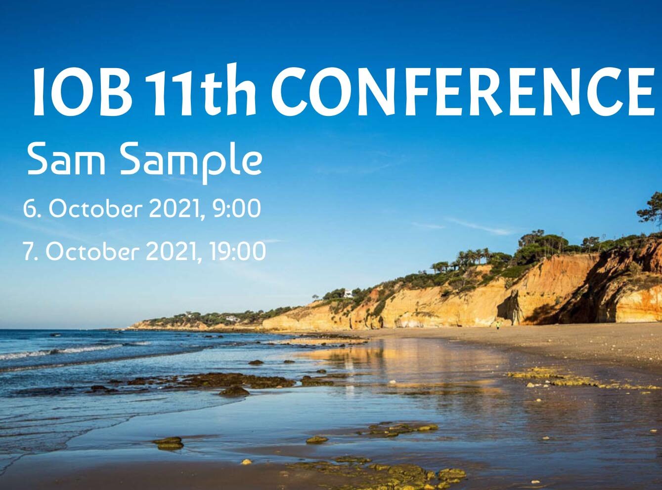 Ticket 11th Conference